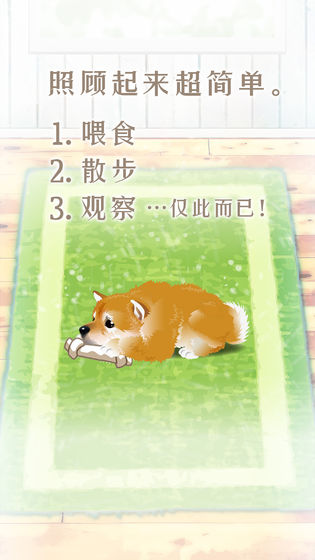 养育柴犬的治愈游戏安卓版图3:
