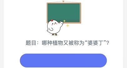 蚂蚁庄园今日答案8月14：下列哪种植物又被称为黄花地丁、婆婆丁[多图]图片2