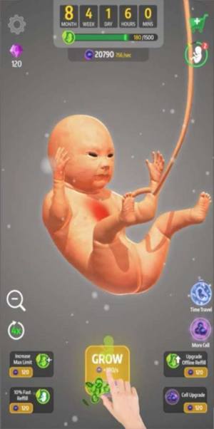 怀胎九月游戏汉化中文版图片1