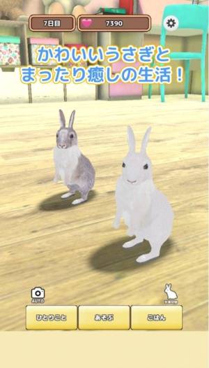 云端养兔子游戏手机版图片1