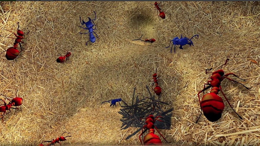 蚂蚁生存模拟器安卓官方版游戏图4: