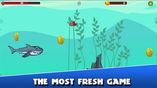 愤怒的鲨鱼夏季冒险游戏安卓版截图4: