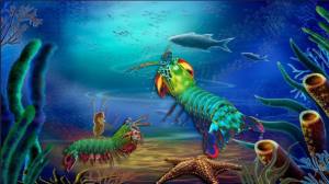模拟皮皮虾传奇游戏官方最新版图片2