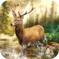 狩猎比赛无限安卓最新版下载