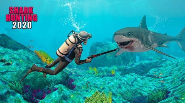 生存鲨鱼游戏最新版图片2