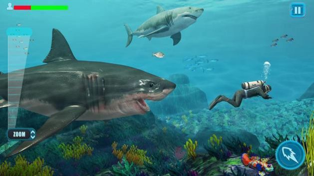 生存鲨鱼游戏最新版图1:
