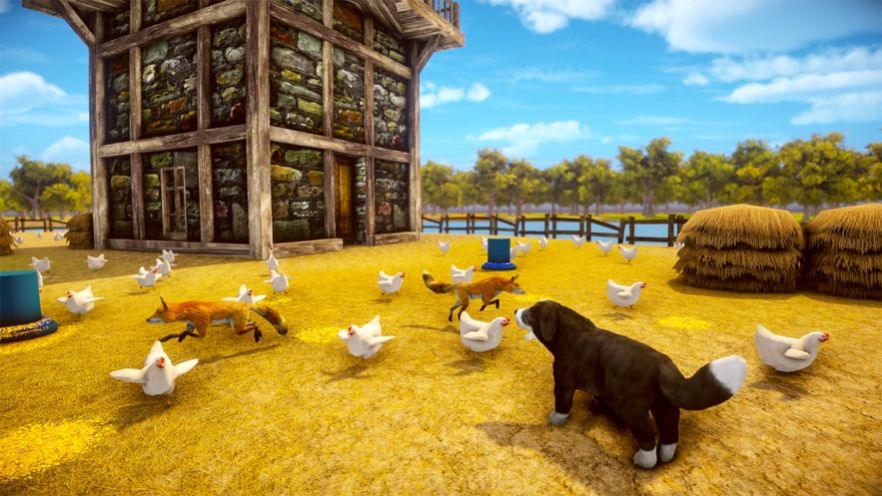 宠物狗农场模拟器游戏安卓版截图4: