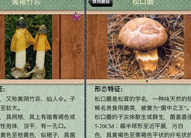 蘑菇鉴别软件安卓APP下载安装 Mushrooms图片1