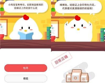 目前我国使用的结婚证上的花是什么花？9月16日蚂蚁庄园今日答案[多图]图片2