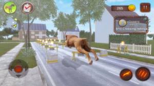 恶犬模拟器游戏图3