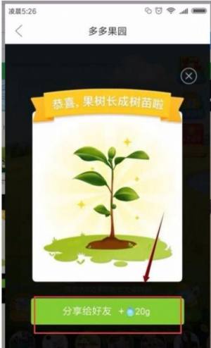 多多果园下载安装免费种树app送水果图片2
