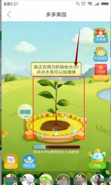 多多果园下载安装免费种树app送水果图片1