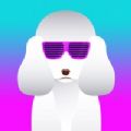 Dubstep Dog游戏iOS官方版