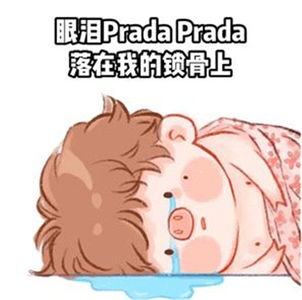 抖音Prada的眼泪PradaPrada地掉表情包图片合集下载截图3: