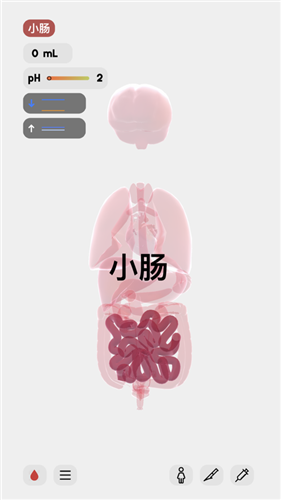 生命LIFE官网中文版软件图片2