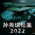 孙美琪疑案2022完整版