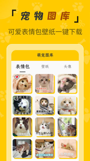 人猫翻译机app安卓版图片1