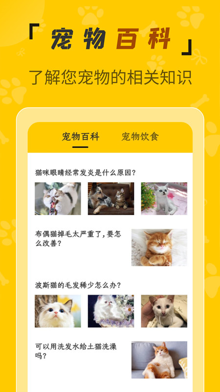 人猫翻译机app安卓版图2: