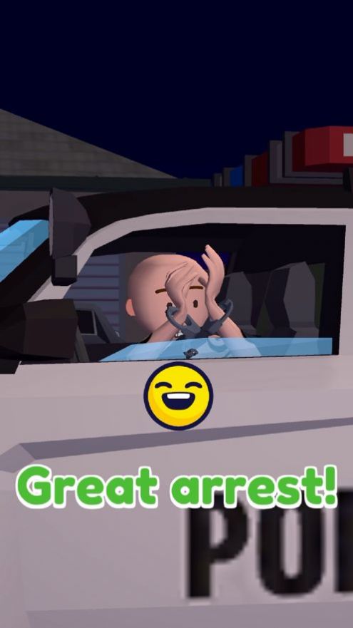 Traffic Cop 3D游戏官方版图1: