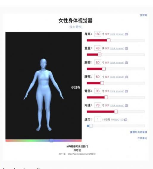 Female Body Visualizer官方中文版图1: