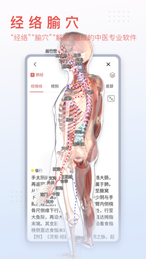 3Dbody解剖图手机版图1