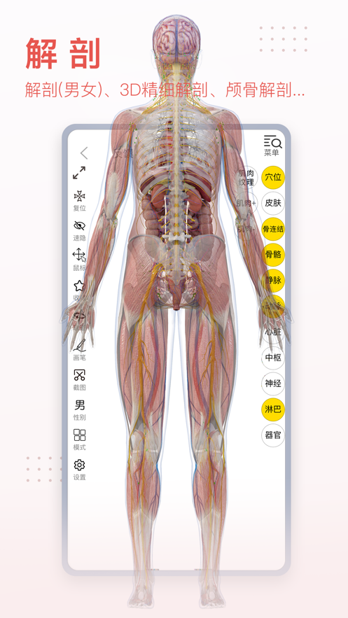 3Dbody解剖图手机版app最新客户端图2: