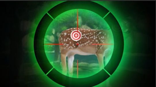 野外猎人狙击手游戏官方版图2: