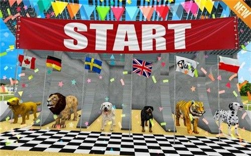 狮子赛跑3D游戏官方版图2: