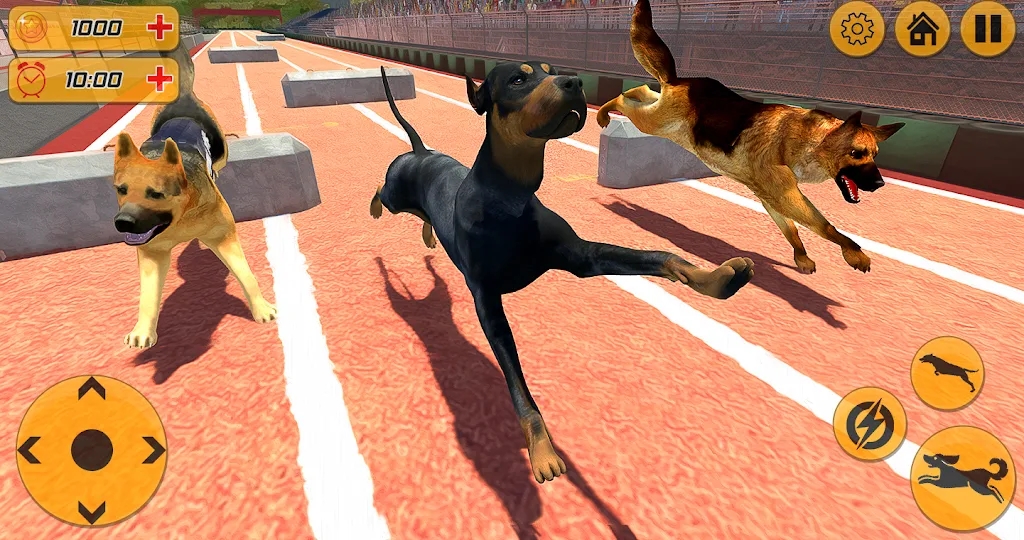 警犬跨栏冲刺手机游戏安卓版图2: