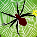 闲置蜘蛛游戏安卓版(IDLE Spiders)