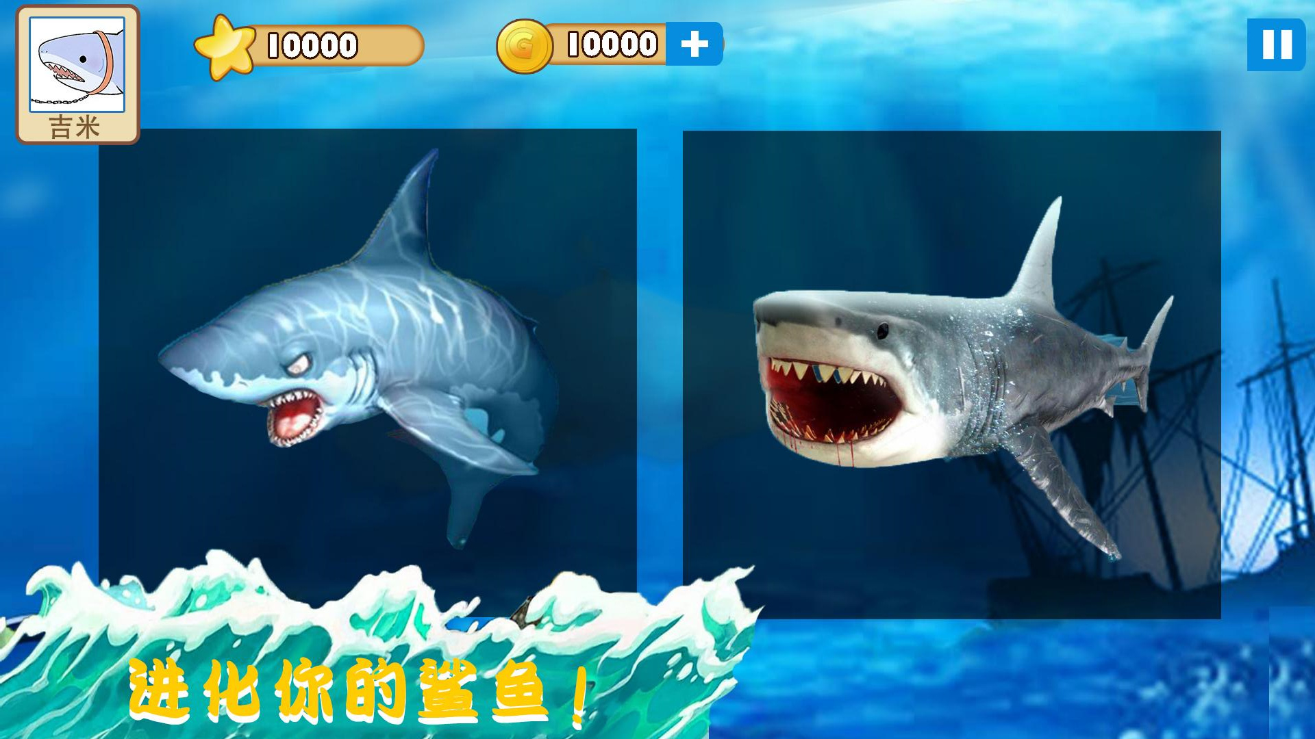 大白鲨真实模拟游戏官方版图1: