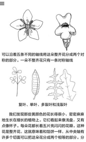 野外植物识别手册app图3