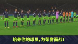 梦幻联盟足球2022中文版图3