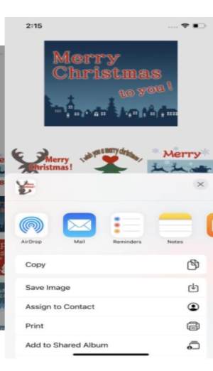 圣诞节和新年app图3