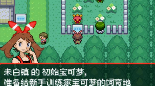 口袋妖怪究极绿宝石5.2伊布下载中文最新版截图2: