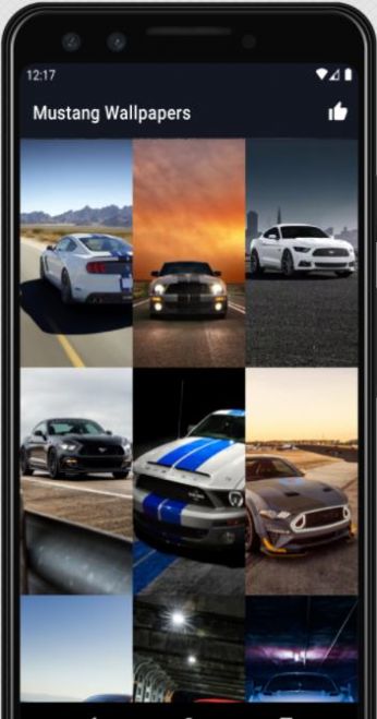 Mustang Wallpapers HD高清壁纸软件官方版图3: