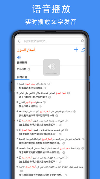查查阿拉伯语词典APP手机版5