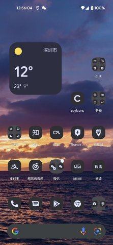 cayicons APP图3