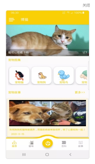 博猫宠物百科app手机版图2: