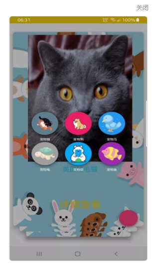 博猫宠物百科app手机版图3: