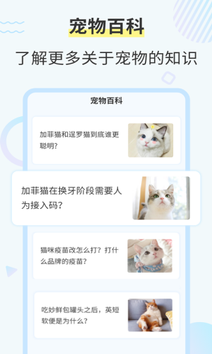 猫咪翻译工具APP图1