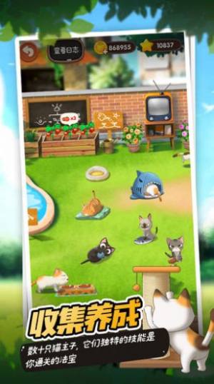 猫女孩咖啡馆游戏官方安卓版图片2