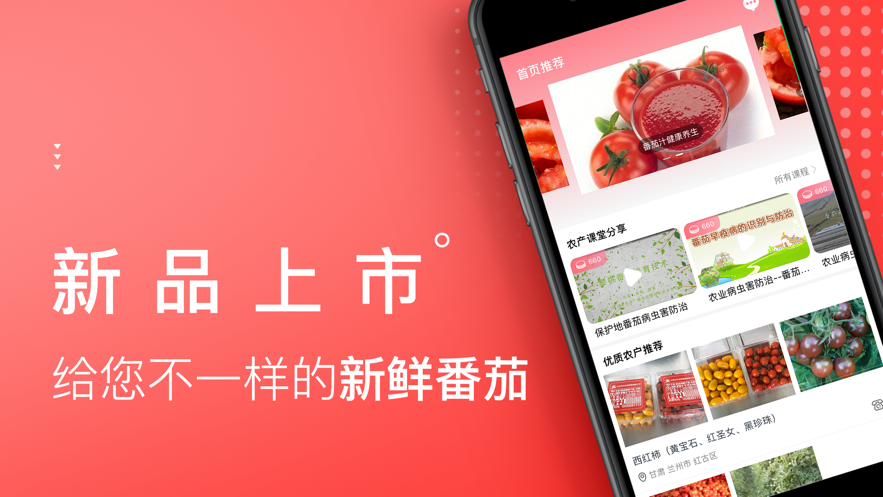 番茄生活社区App下载安卓版1