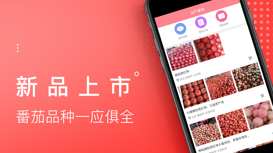番茄生活社区App下载安卓版2
