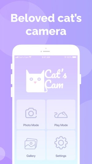 Cat＇s Cam APP图3