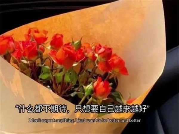 什么都不期待只想要自己越来越好背景图图片大全_C5手游