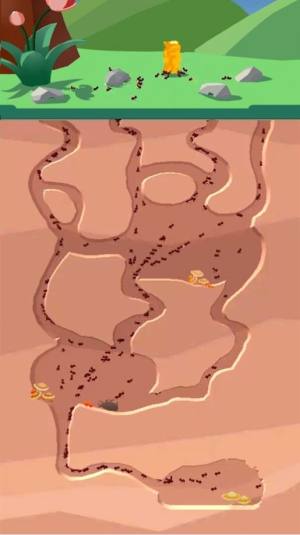 沙蚁养殖场游戏图2
