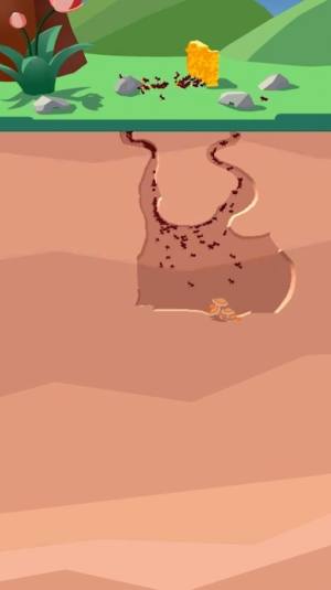 沙蚁养殖场游戏图3