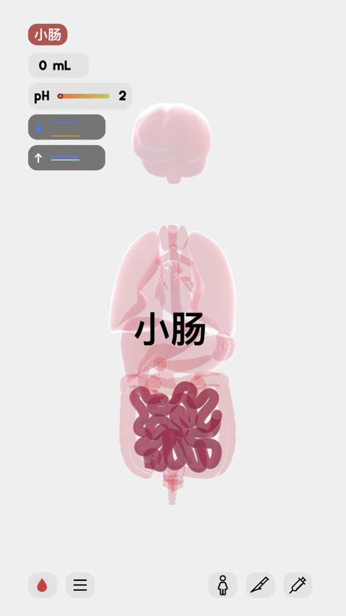 医学人体模拟器游戏免费下载中文版图片2