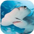 锤头鲨模拟器中文版